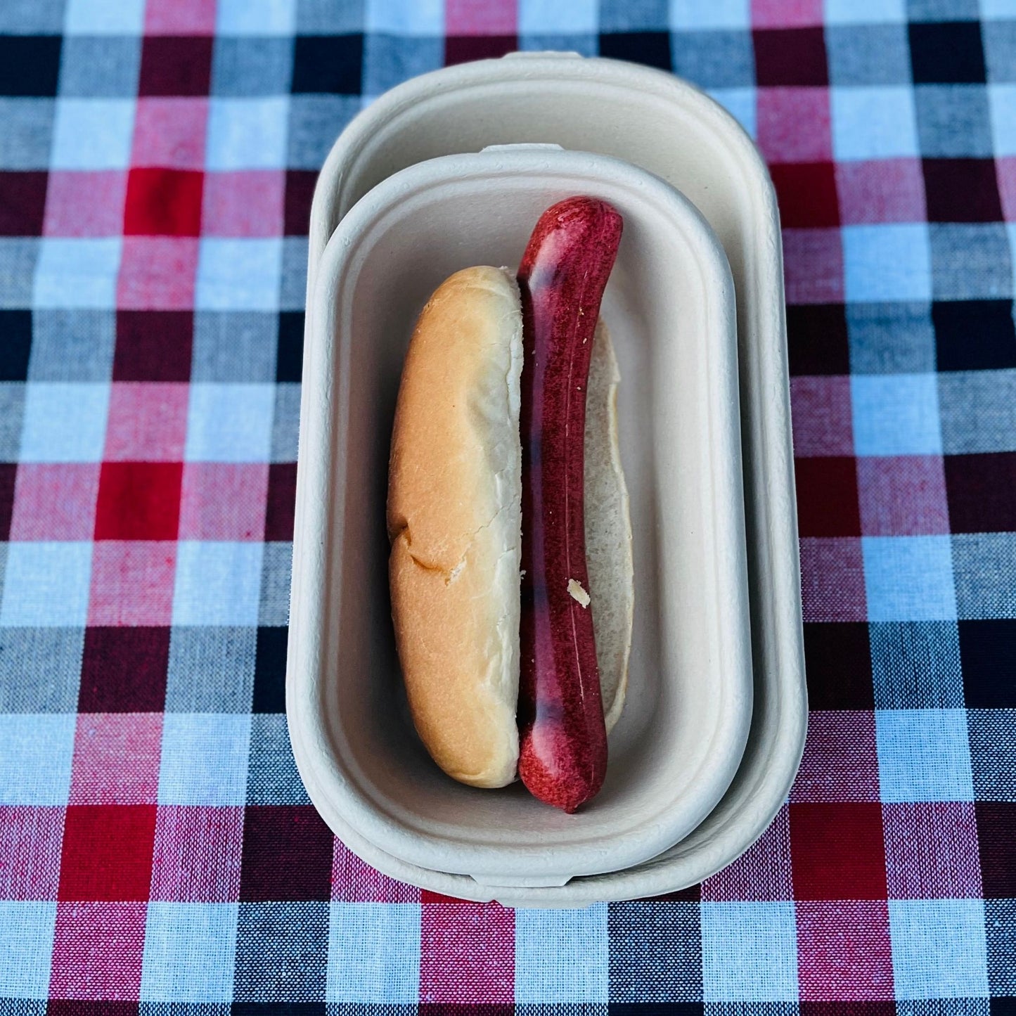 Oblong 1-Compartment Compostable Container 700 ml