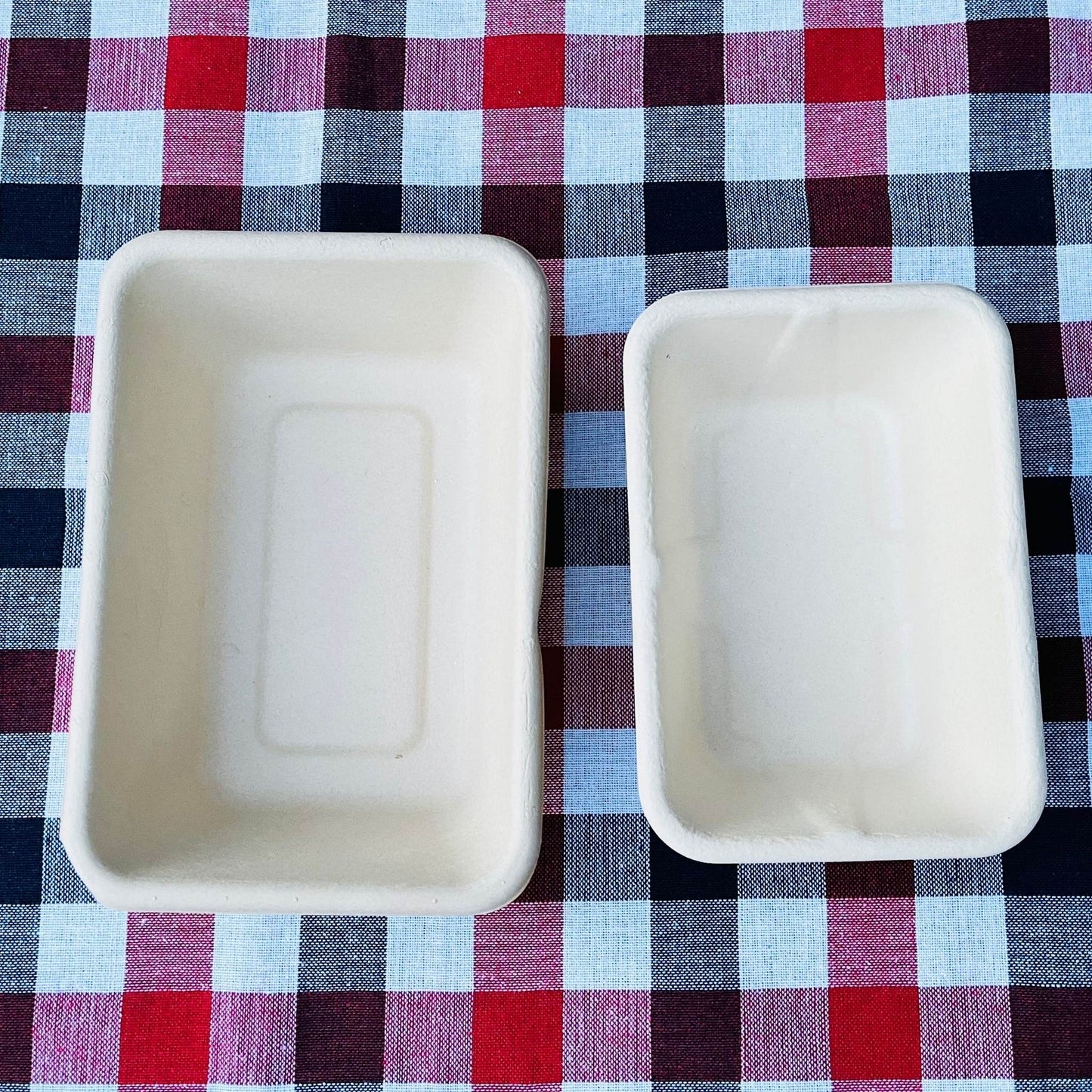 Rectangle 1-compartment compostable container 700ml with lid