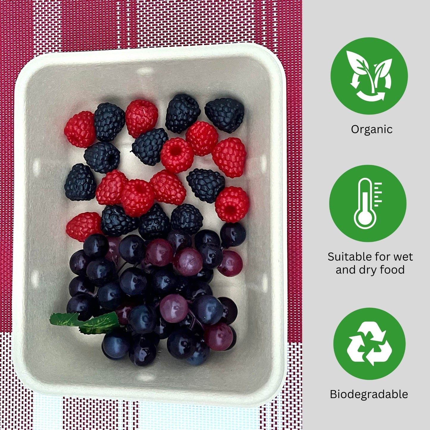 Rectangle 1-compartment compostable container 700ml with lid