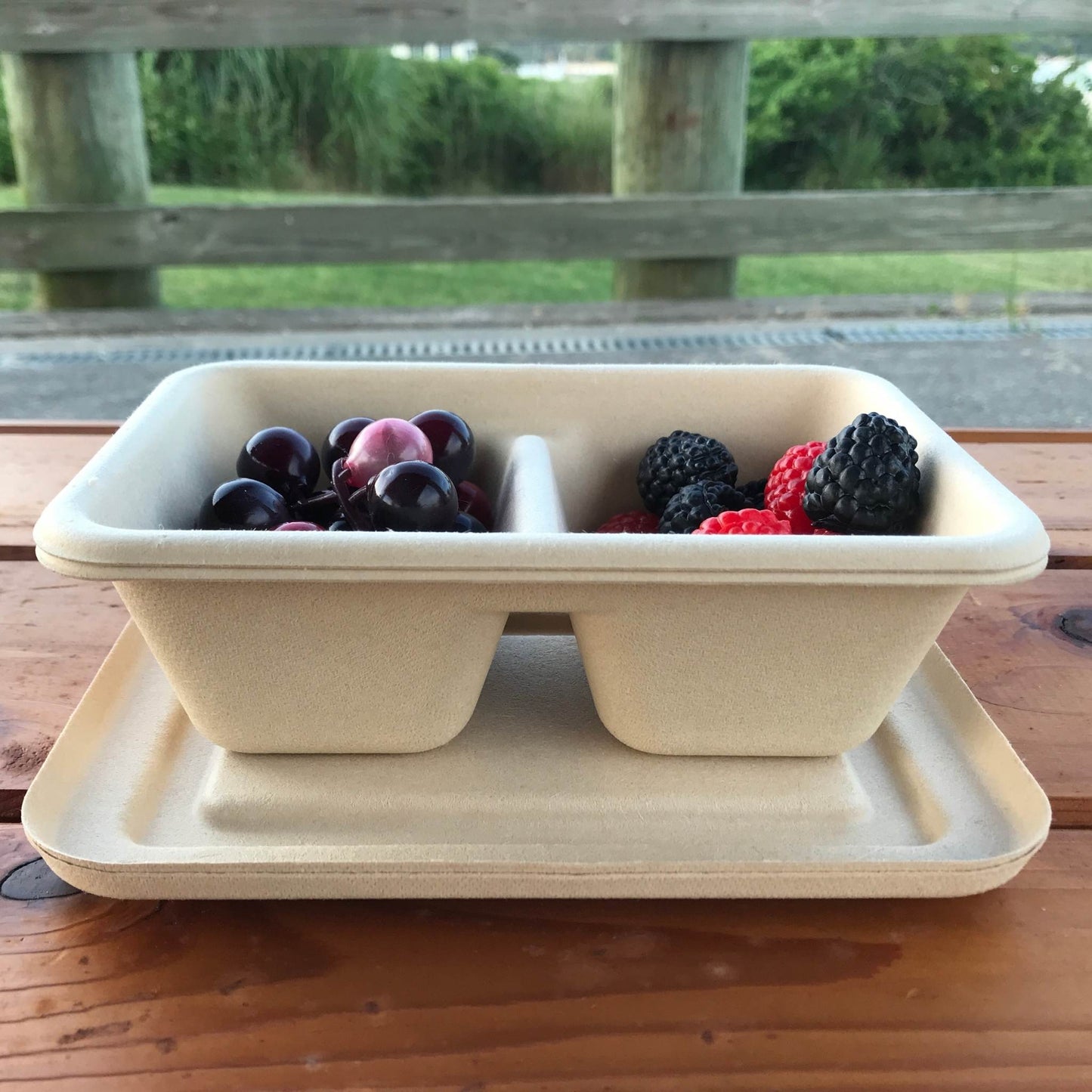 Rectangle 2-compartment compostable container 650ml