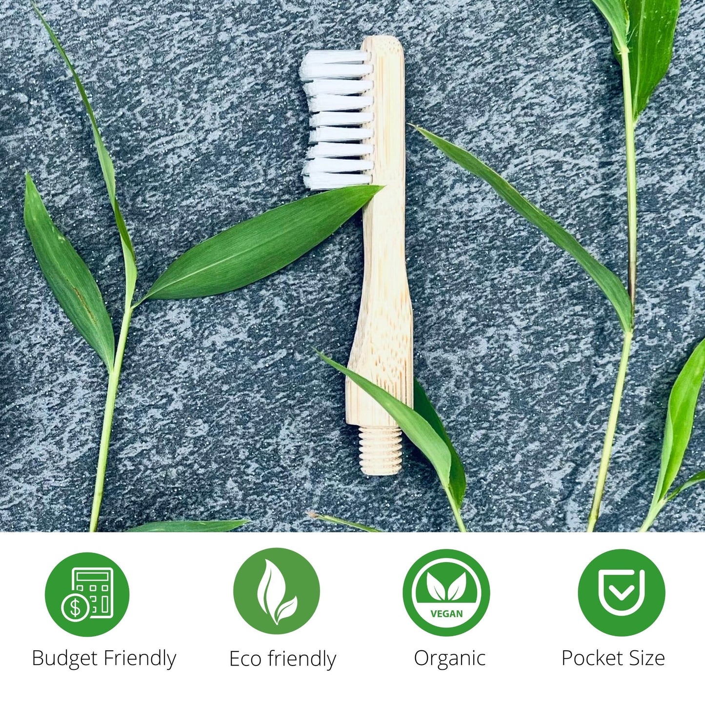 Bamboo Toothbrush Sustainable Bristle Adult Size 4 shapes