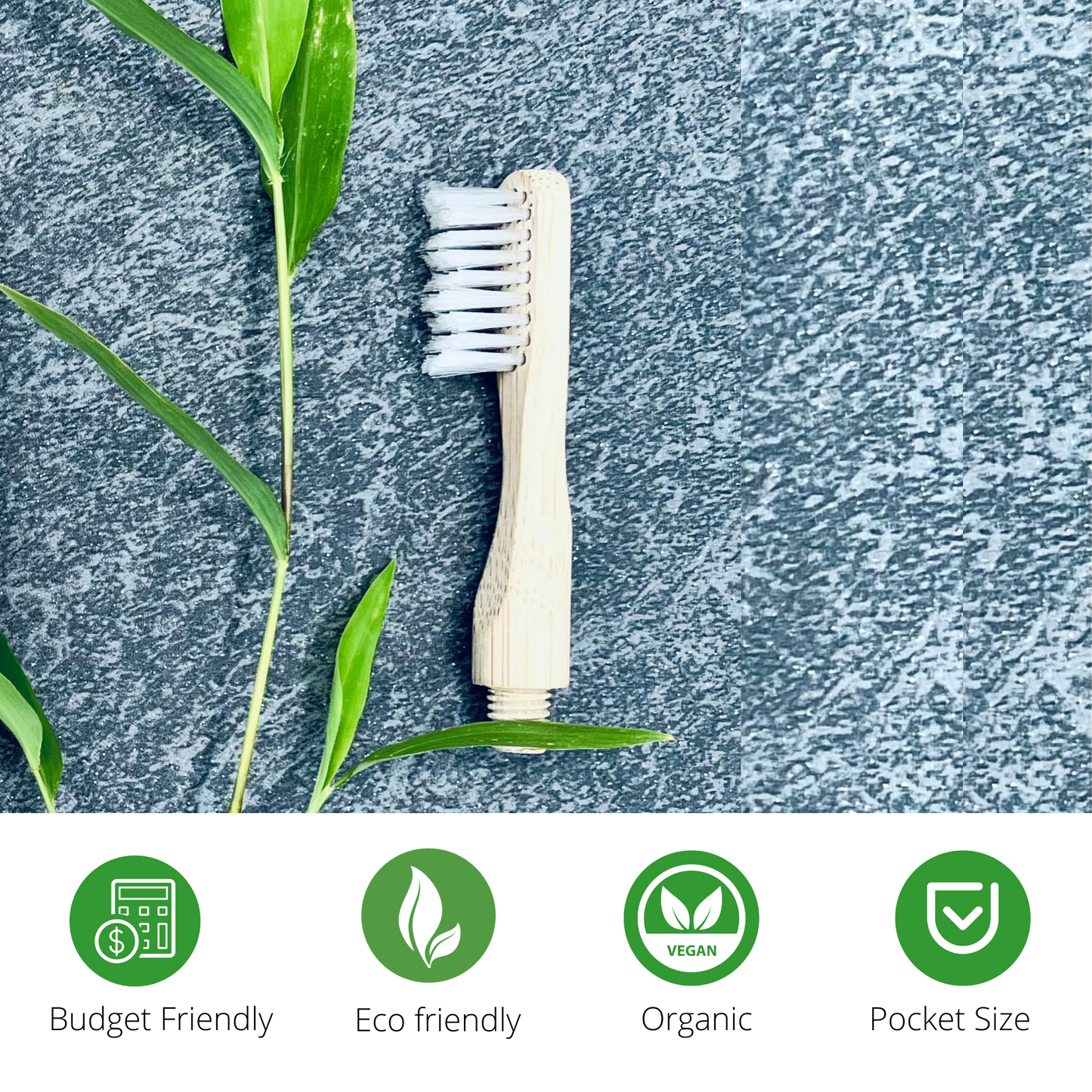 Bamboo Toothbrush Sustainable Bristle Adult Size 4 shapes