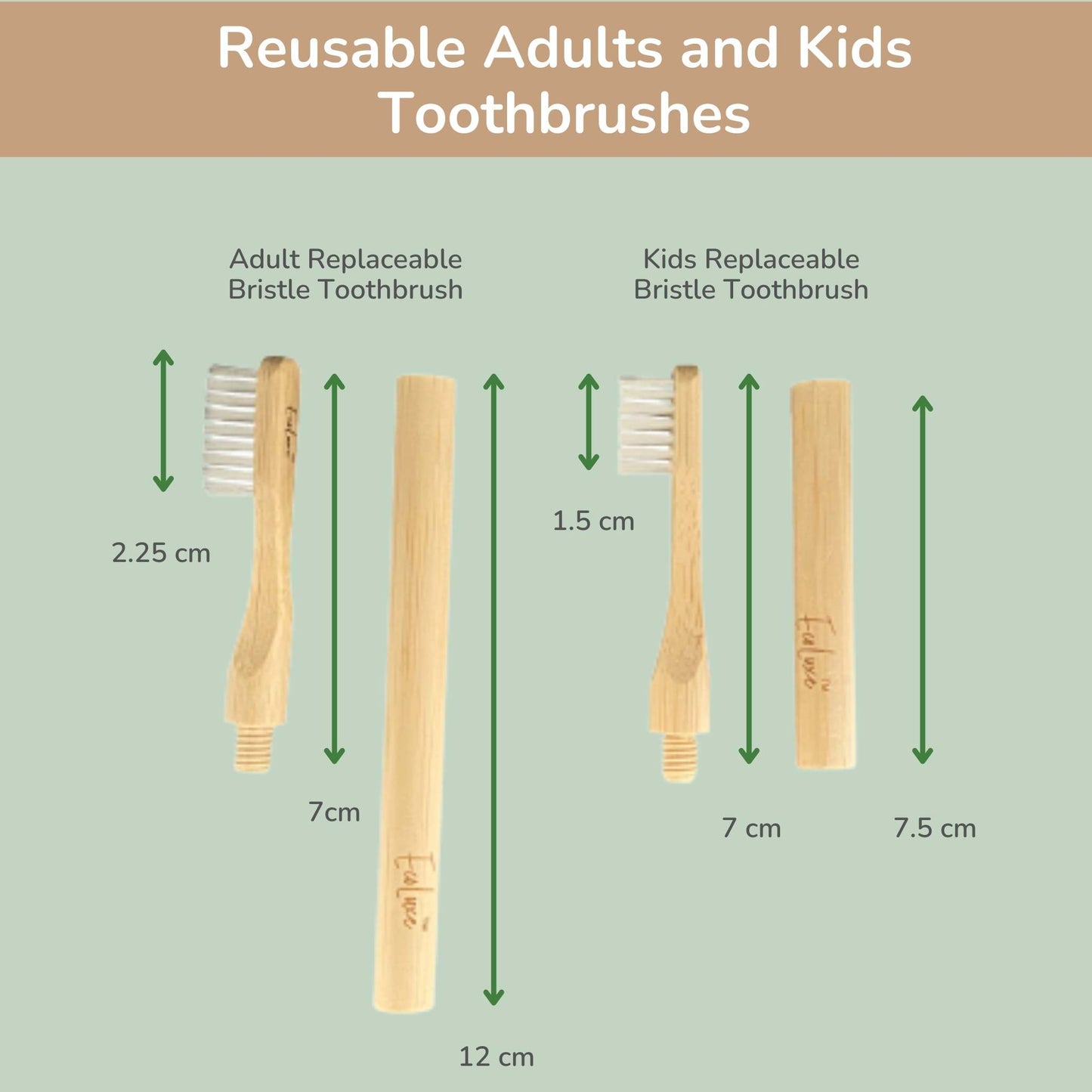 Bamboo Toothbrush Replaceable Bristle Adult's & Kid's Size (2 pack)