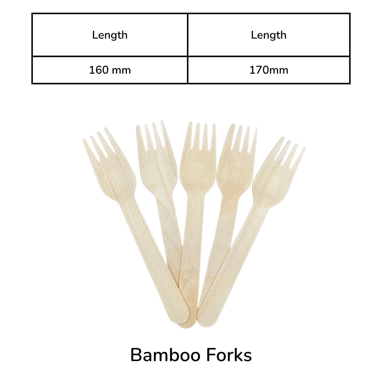 Disposable Biodegradable Bamboo Fork 170MM