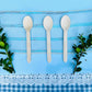 Disposable Biodegradable Bamboo Spoon 170mm