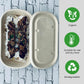 Oblong 1-Compartment Compostable Container 700 ml